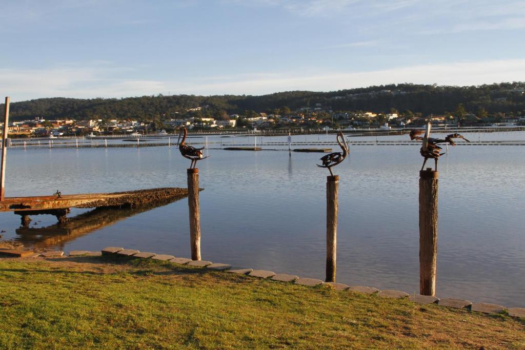 Sails Luxury Apartments Merimbula Eksteriør bilde